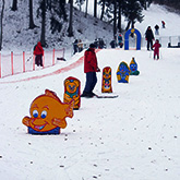 Skiing track in Birstonas