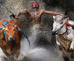 World Press Photo 2013 � ����