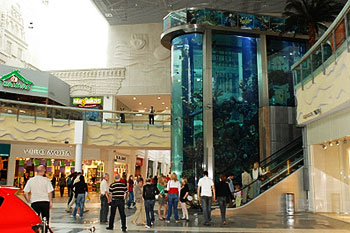 Aquarium in Kaunas