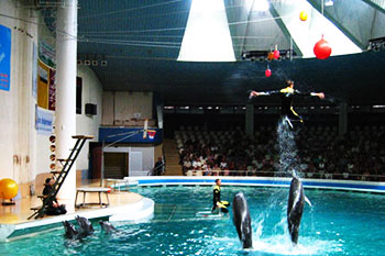 Dolphinarium in Klaipeda