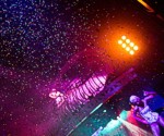 Push Club - ���������