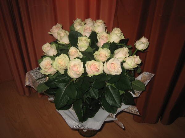 04.11.2007 005.jpg