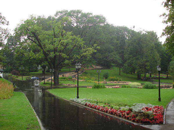 DSC09777.JPG