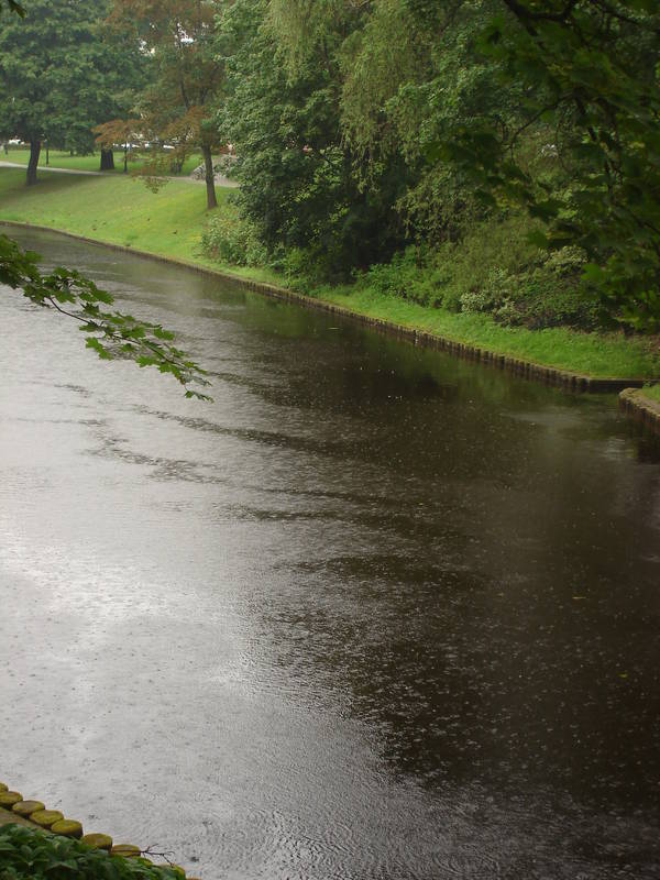 DSC09782.JPG