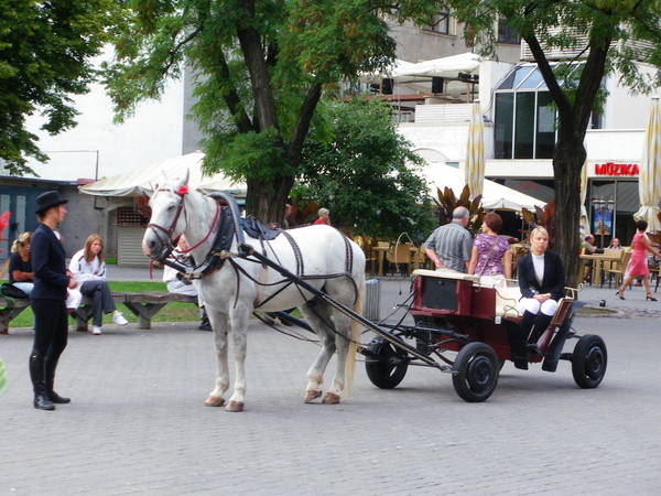 IMGP3010.JPG