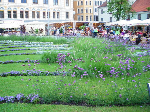 IMGP3021.JPG
