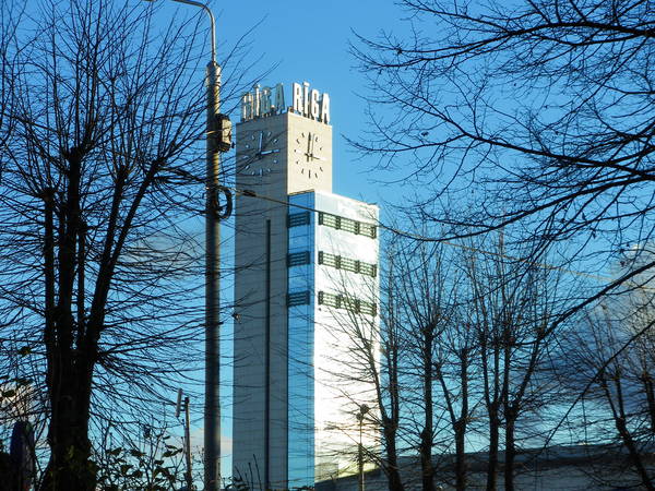 IMGP3377.JPG