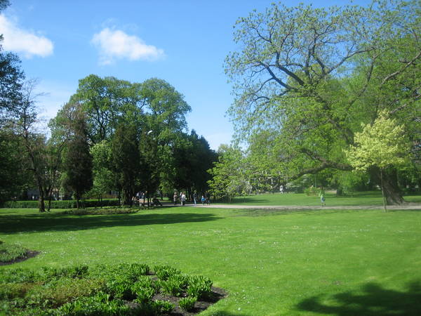IMG_7766.JPG