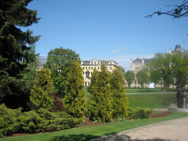 IMG_7819.JPG