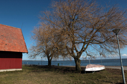 Estonia & Lithuania