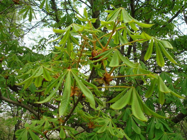 DSC06822.JPG