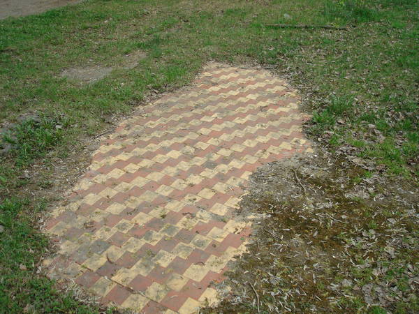 DSC06838.JPG