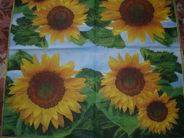 DSC09634.JPG
