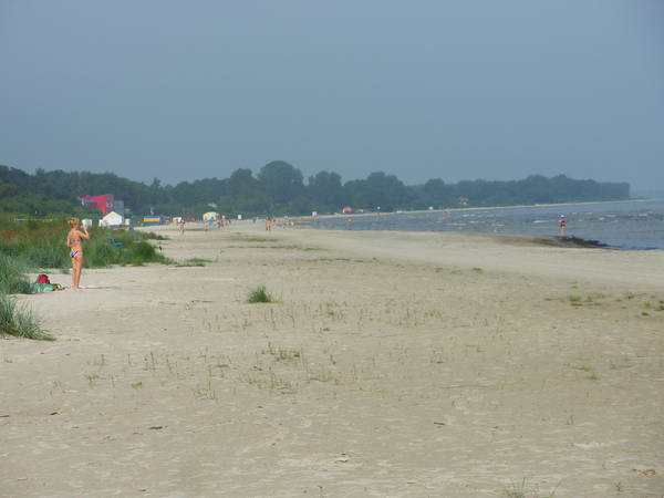 IMGP2698.JPG