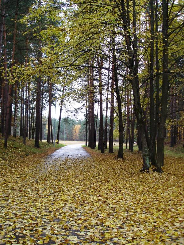 Межапарк 036.jpg