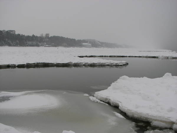 IMG_4716.JPG